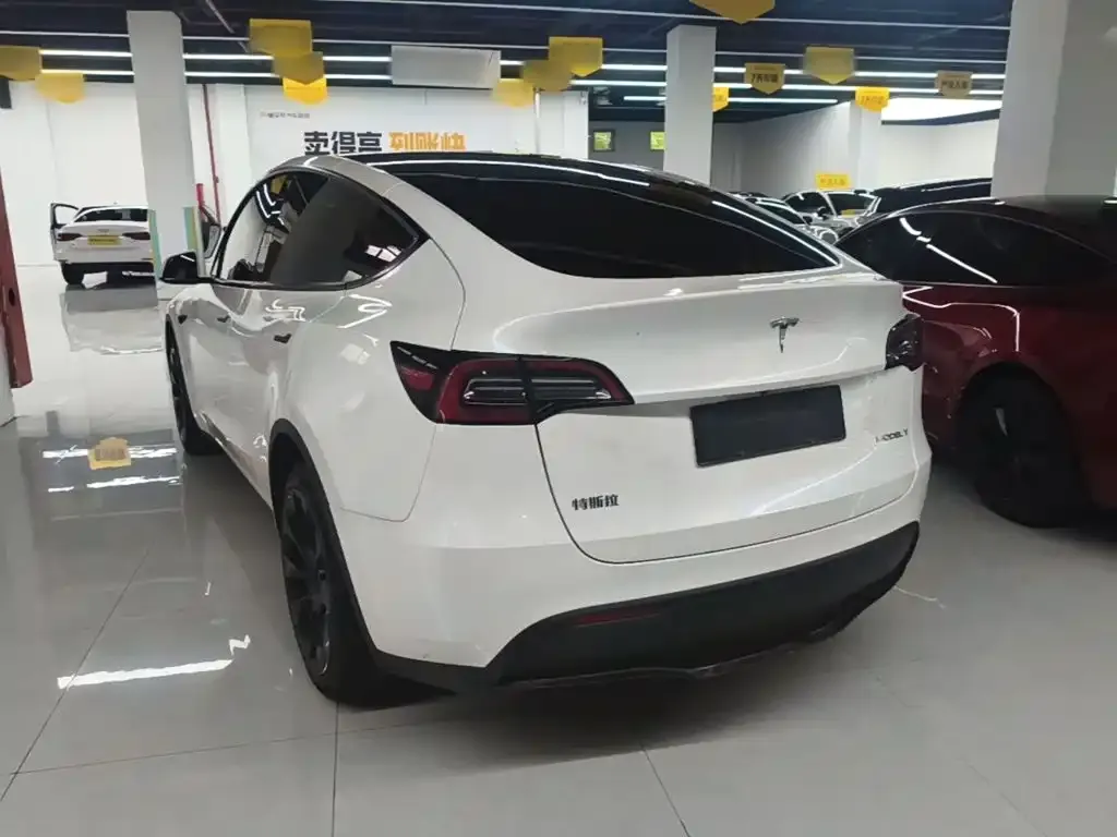 Tesla Model Y — фото 10