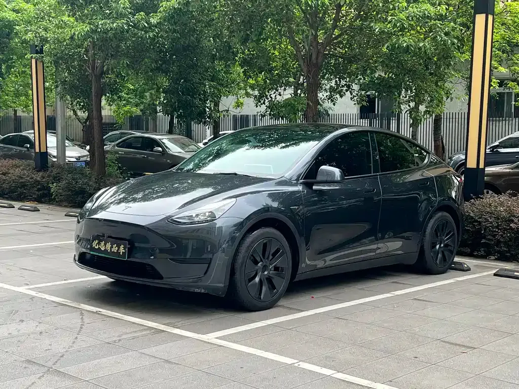 Tesla Model Y — фото 1
