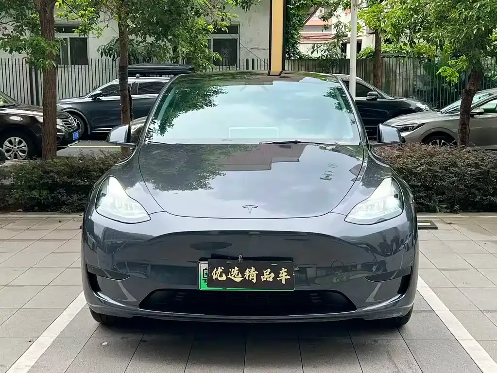 Tesla Model Y — фото 4