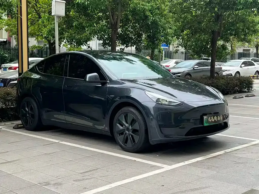 Tesla Model Y — фото 5