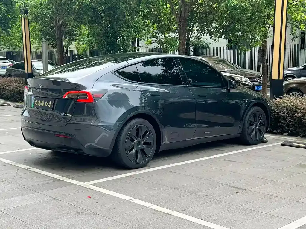 Tesla Model Y — фото 10