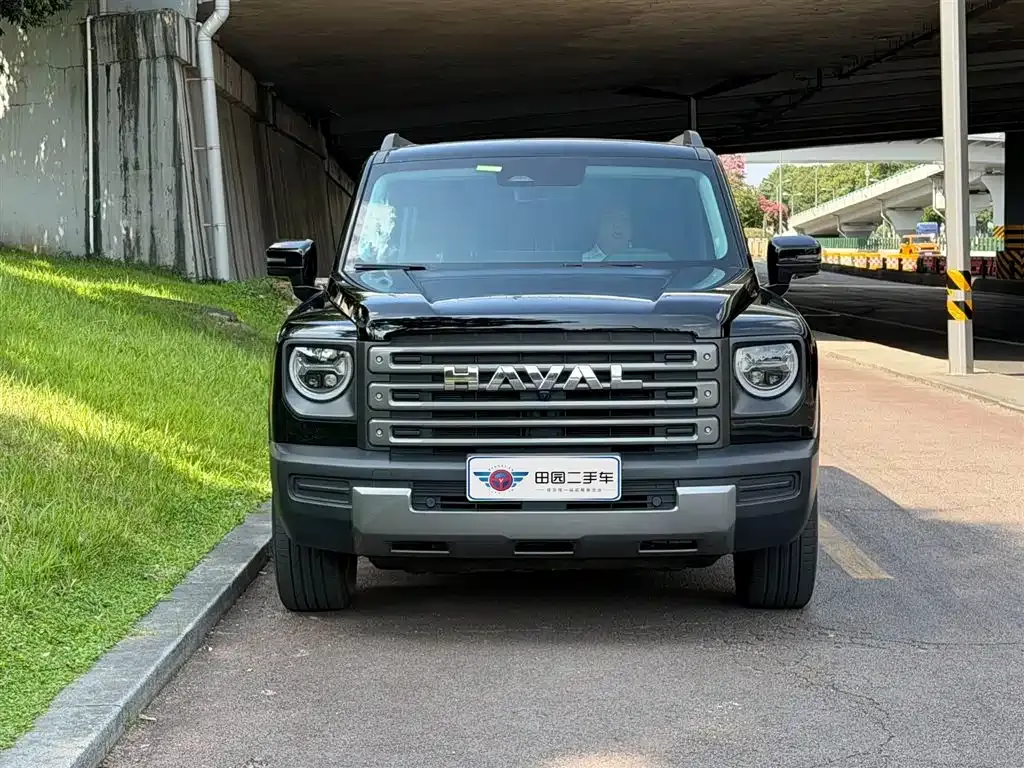 Haval Menglong New Energy — фото 10