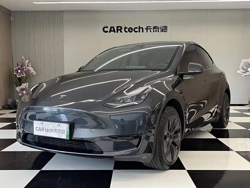 Tesla Model Y — фото 1
