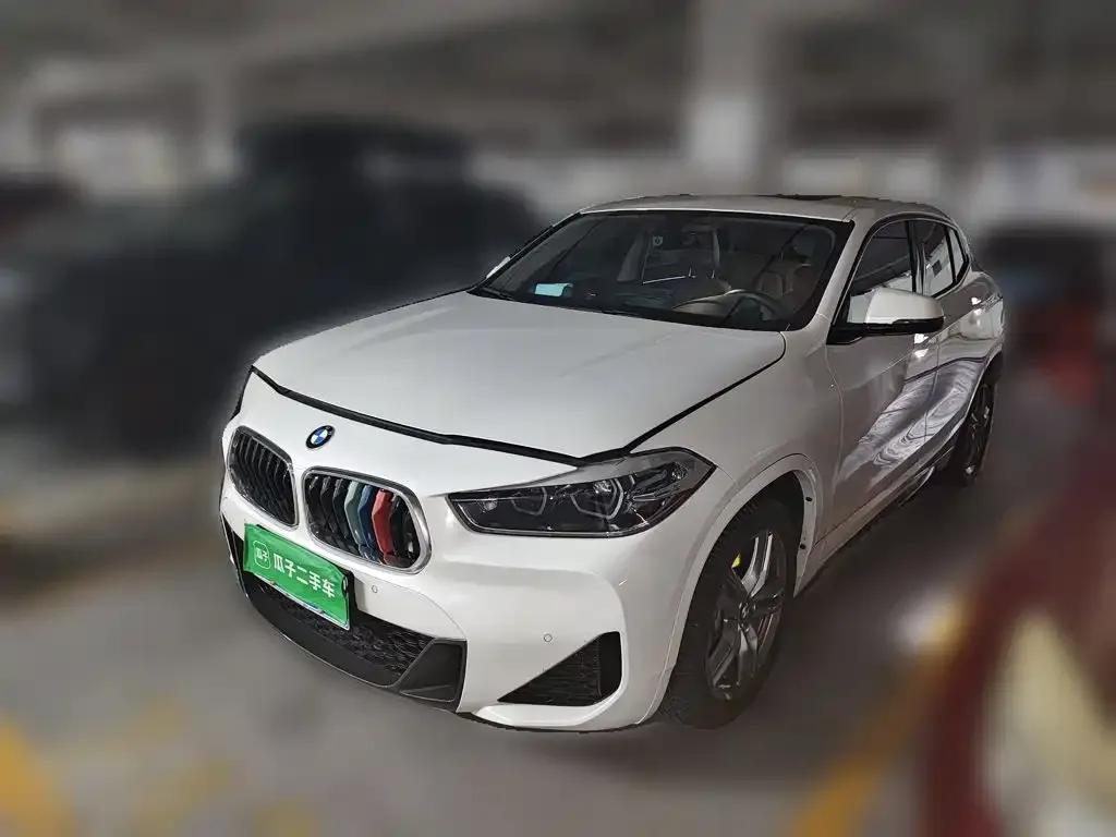 BMW X2 — фото 1