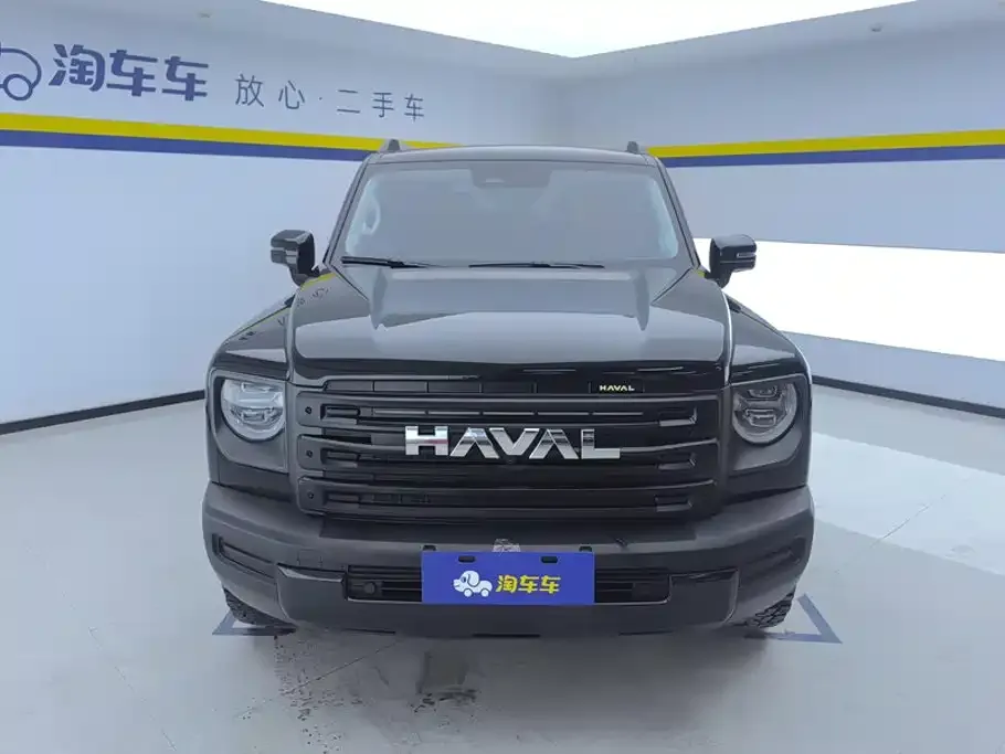 Haval Menglong New Energy 2024 из CN, фото 5