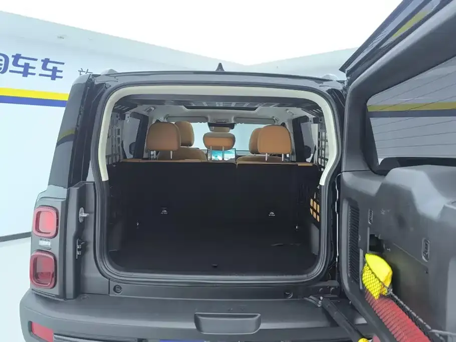 Haval Menglong New Energy 2024 из CN, фото 9
