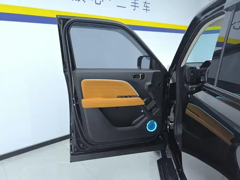 Haval Menglong New Energy 2024 из CN, фото 3