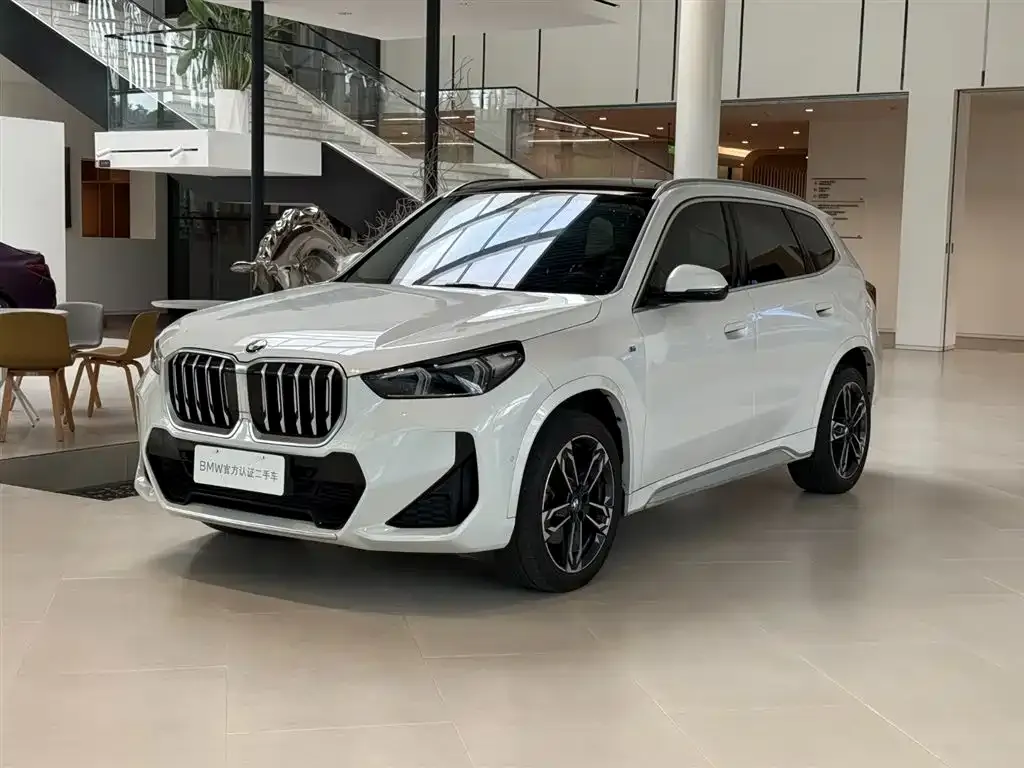 BMW X1 — фото 1