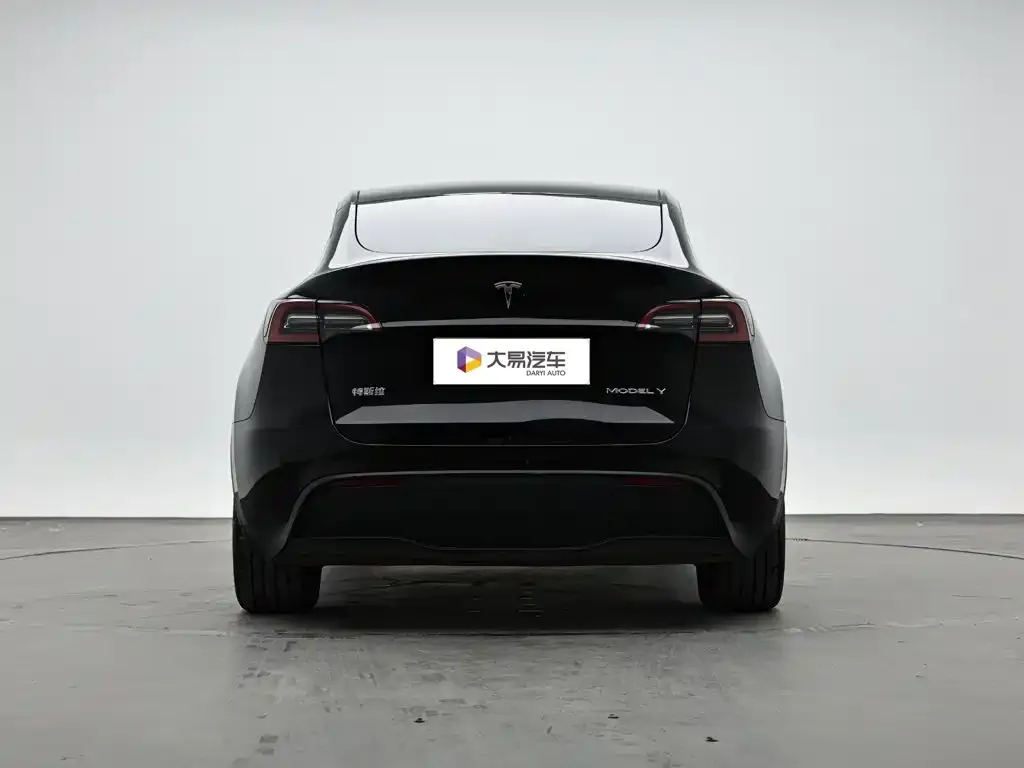 Tesla Model Y — фото 5