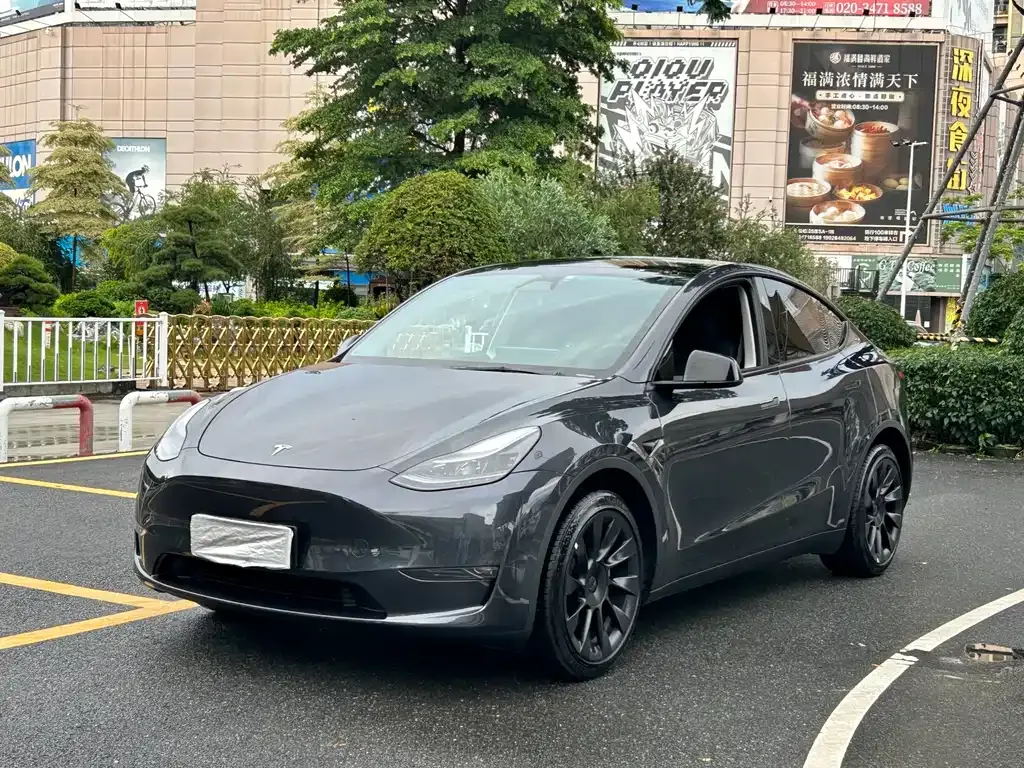 Tesla Model Y — фото 1