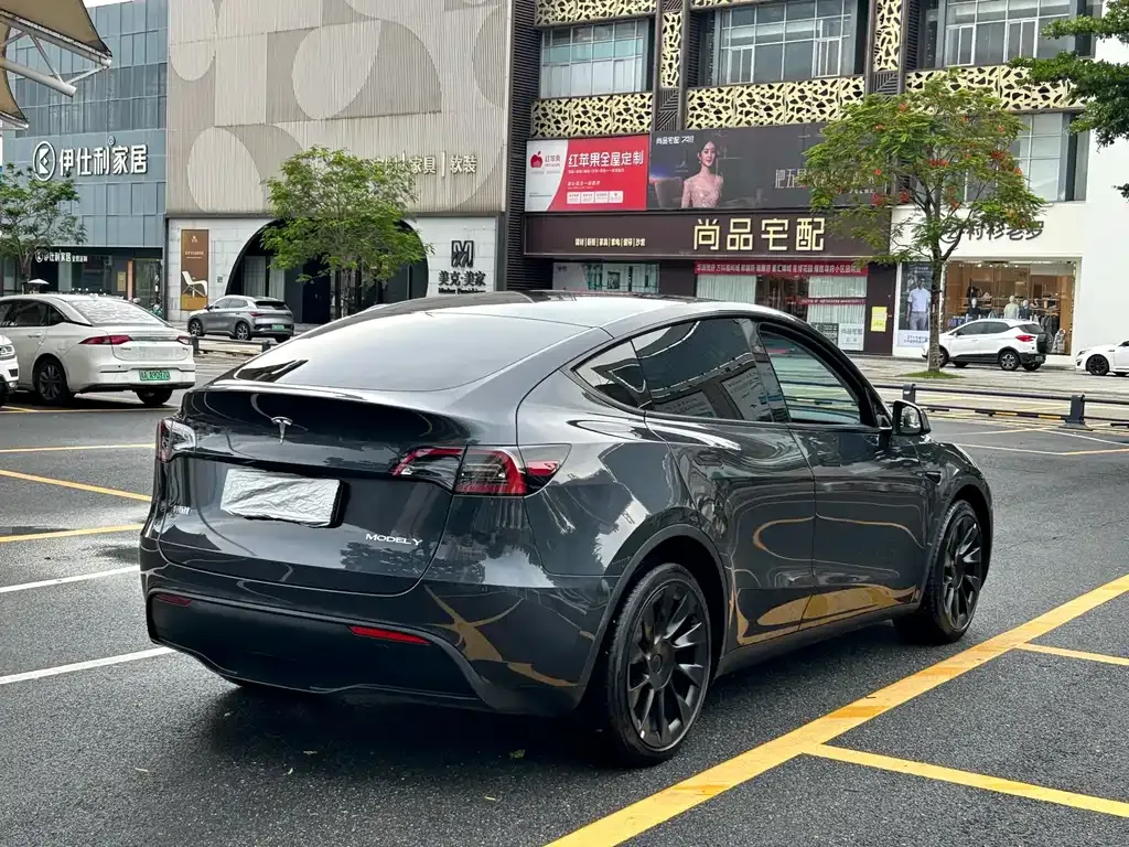 Tesla Model Y — фото 3