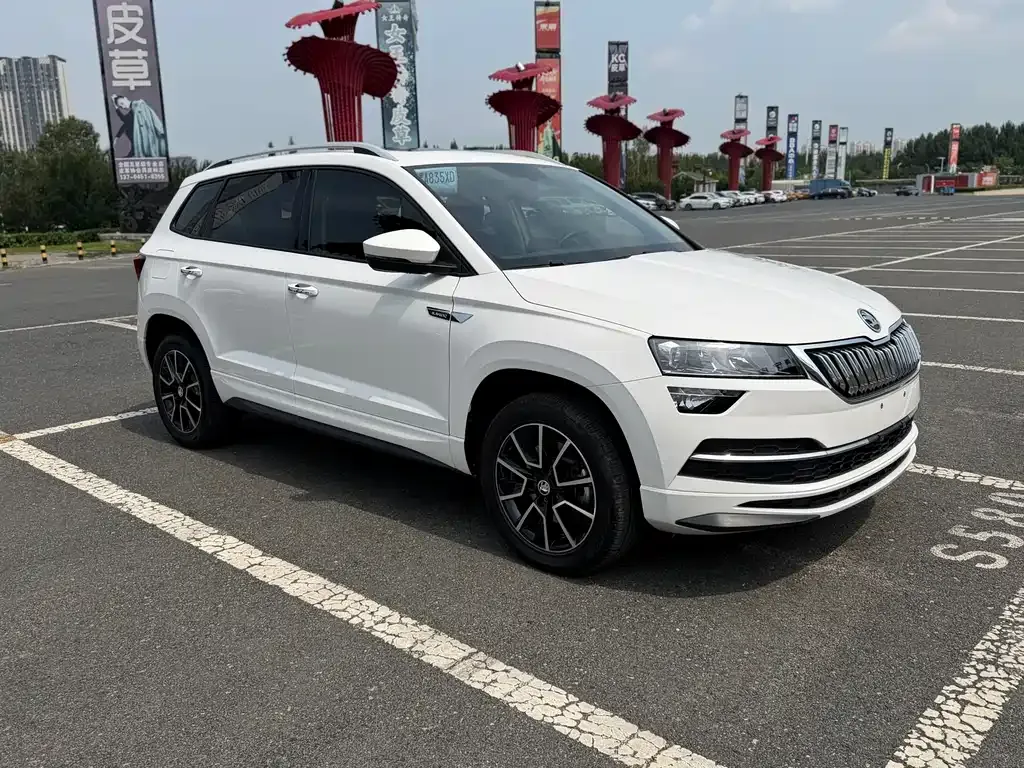 Skoda Karoq — фото 5