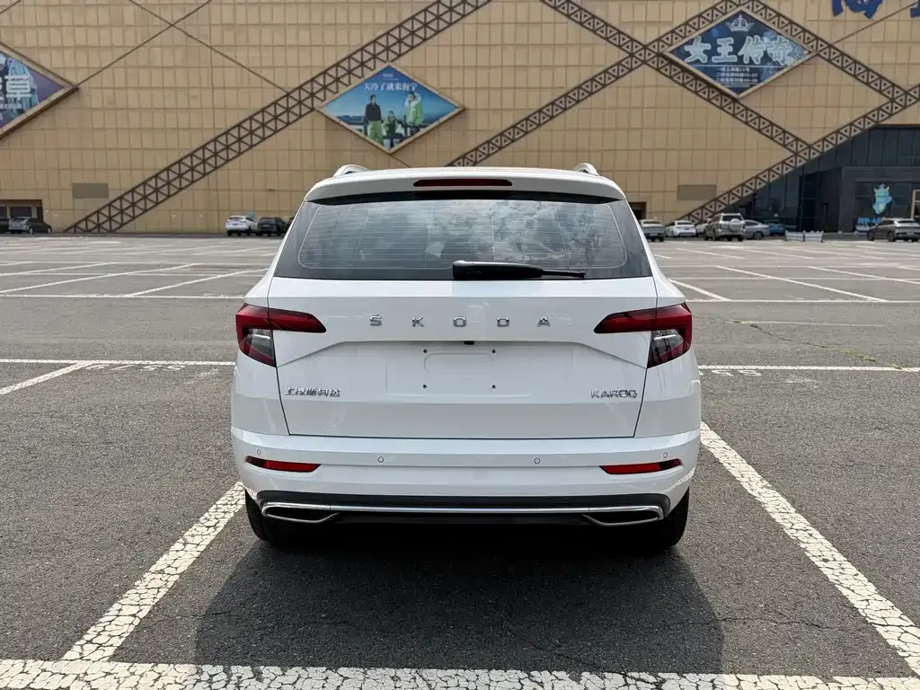 Skoda Karoq — фото 6