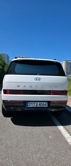 Hyundai Santafe — фото 5