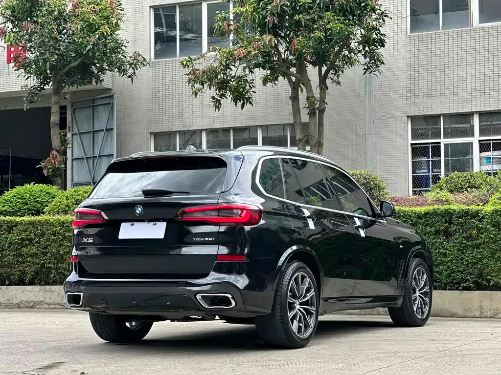 BMW X5 (Import) 2022 из CN, фото 9