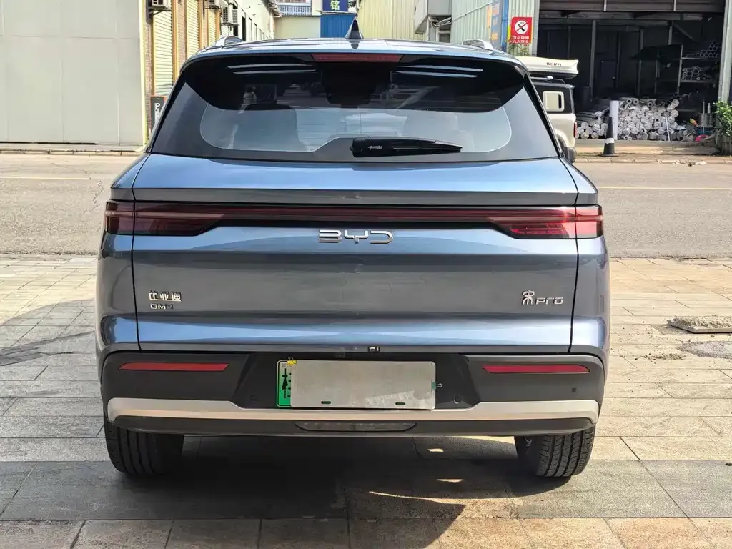 BYD Pro New Energy — фото 4