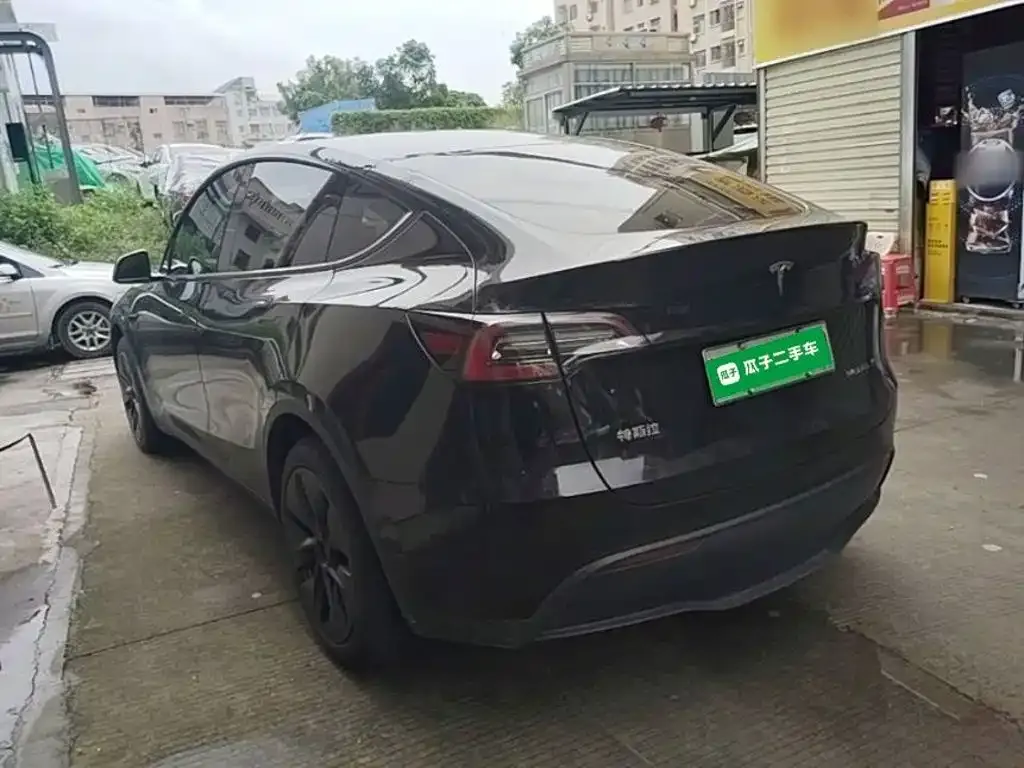 Tesla Model Y — фото 10
