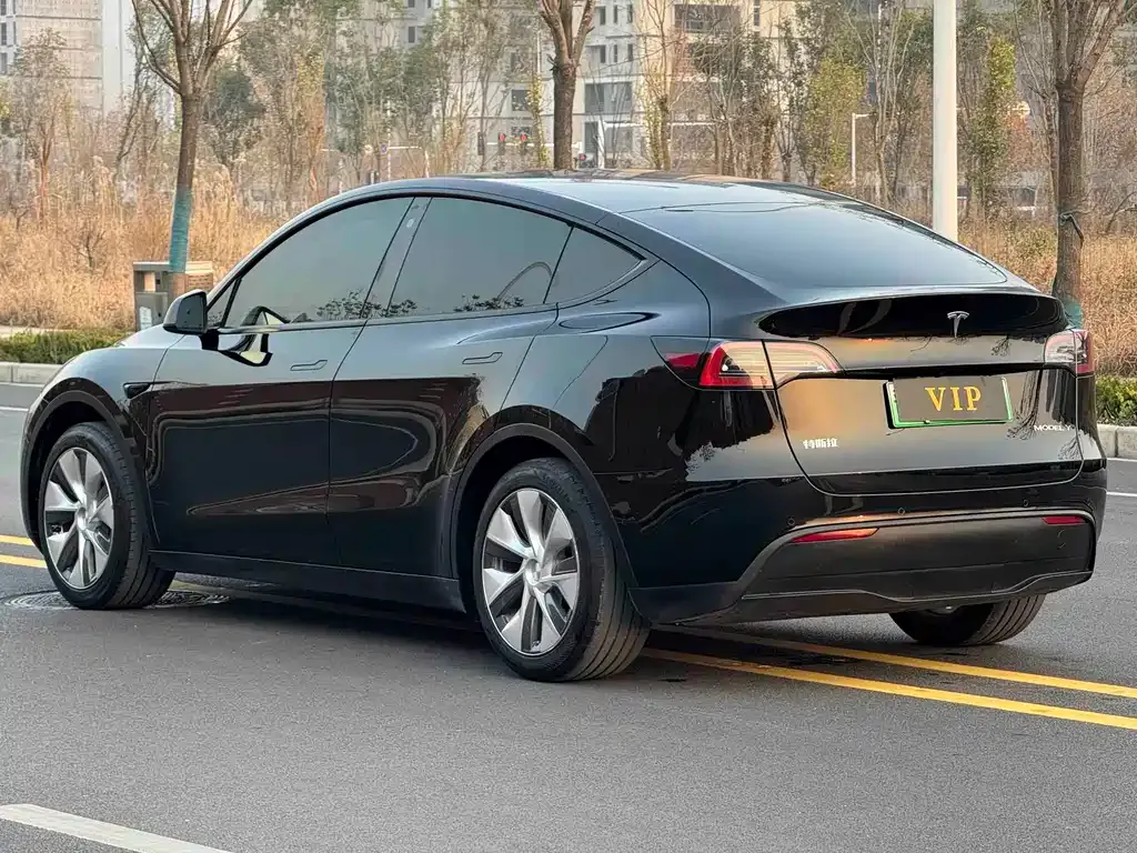 Tesla Model Y — фото 9
