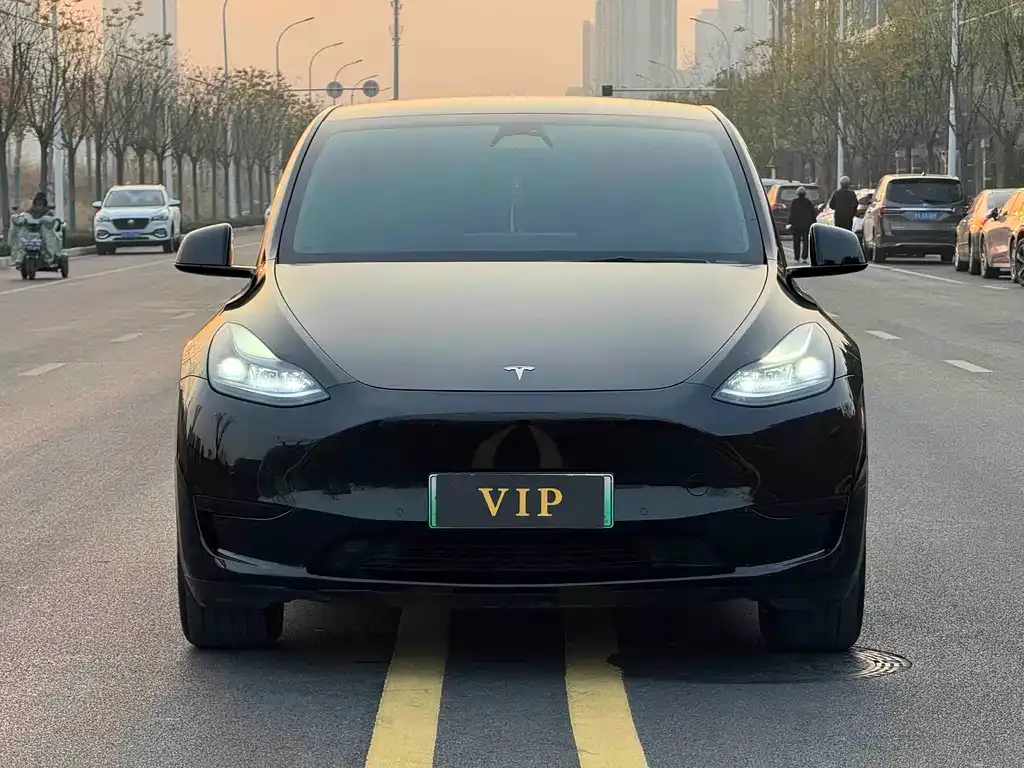 Tesla Model Y — фото 6