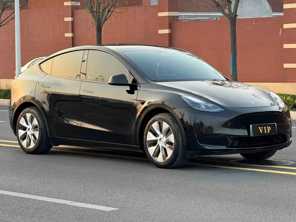 Tesla Model Y — фото 10