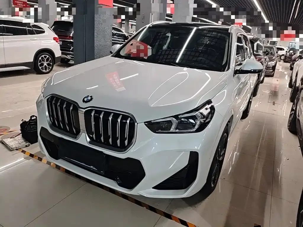 BMW X1 — фото 1