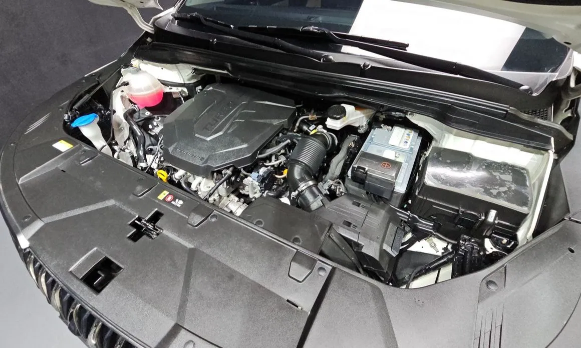 Kia Carnival — фото 10
