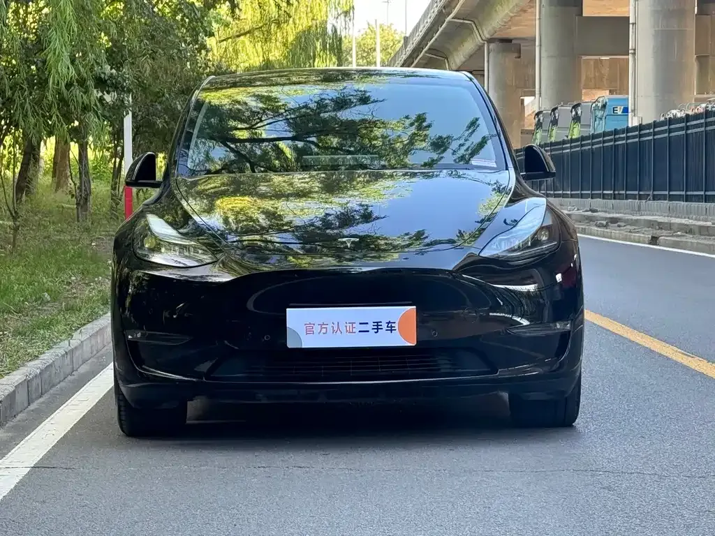 Tesla Model Y — фото 10