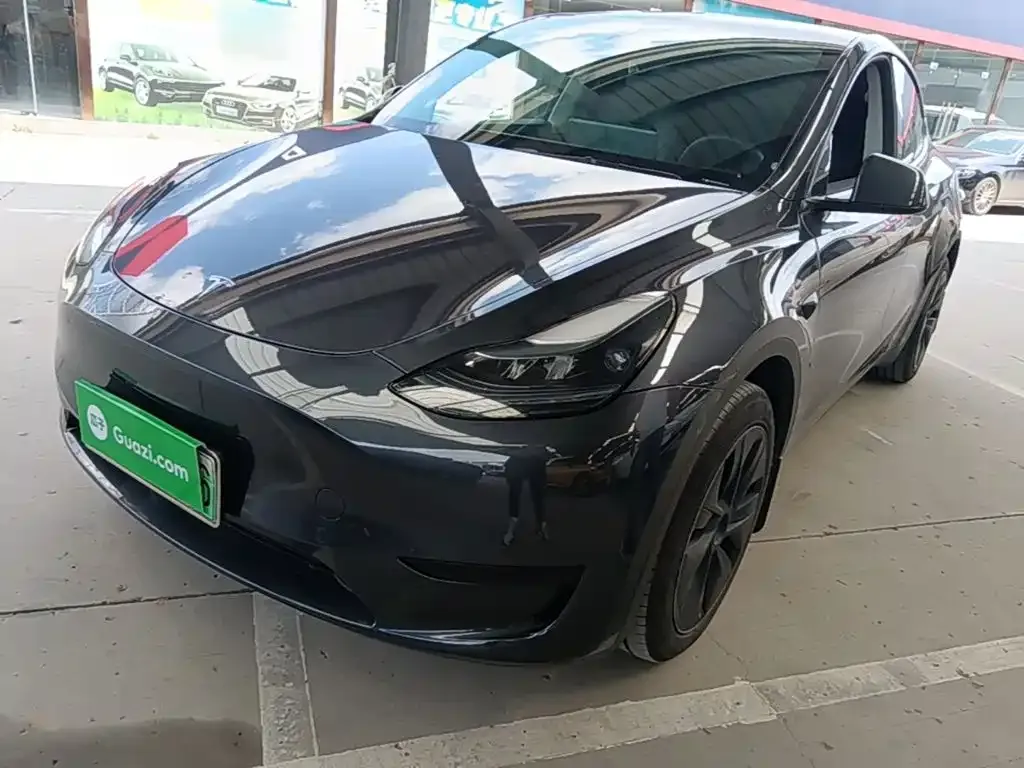 Tesla Model Y — фото 6