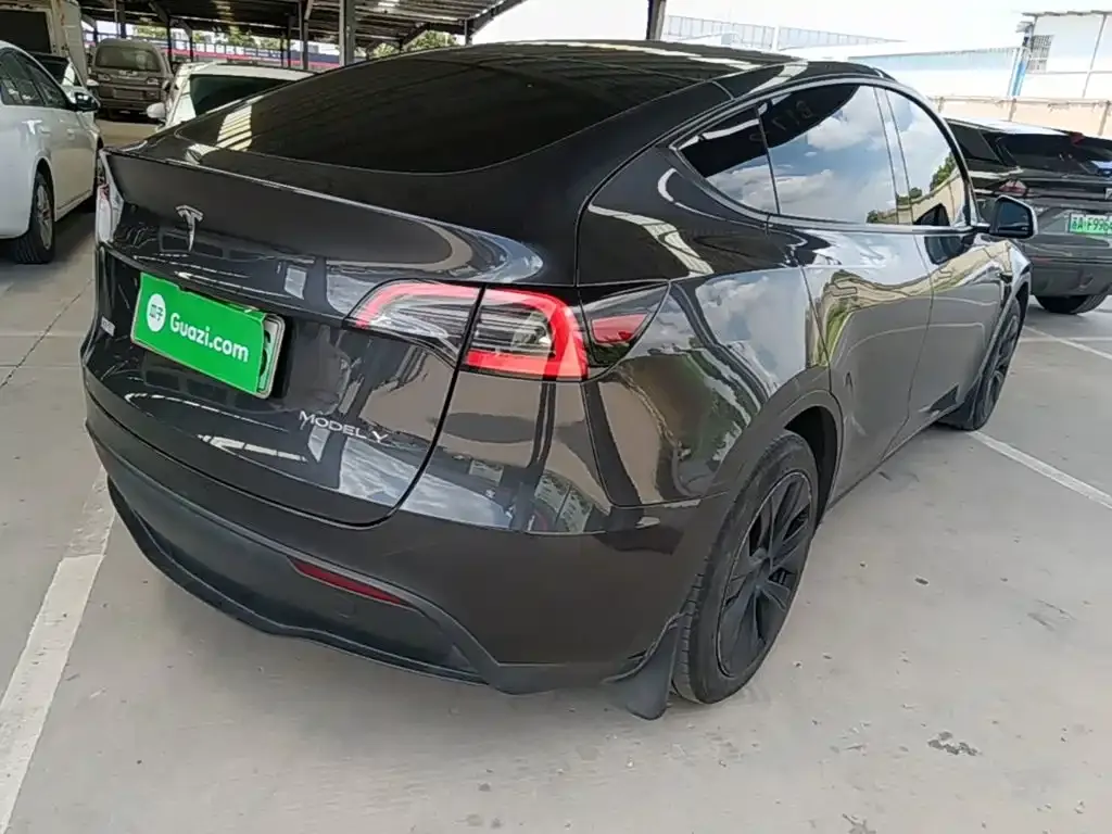 Tesla Model Y — фото 10