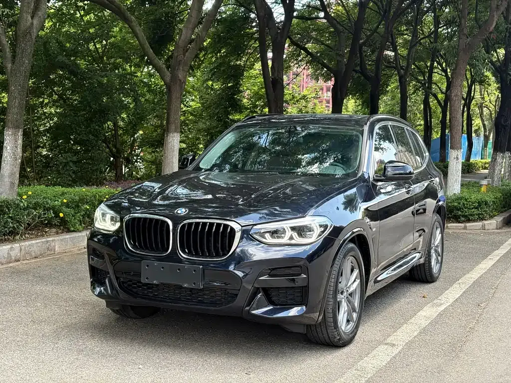 BMW X3 — фото 1