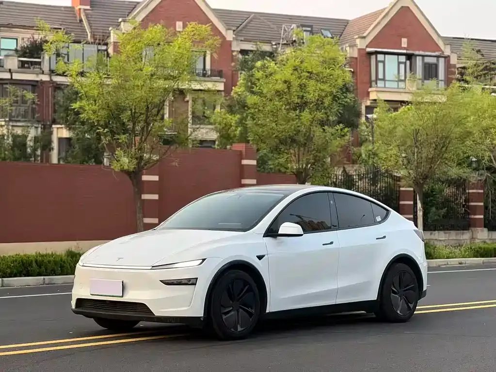 Tesla Model Y — фото 1