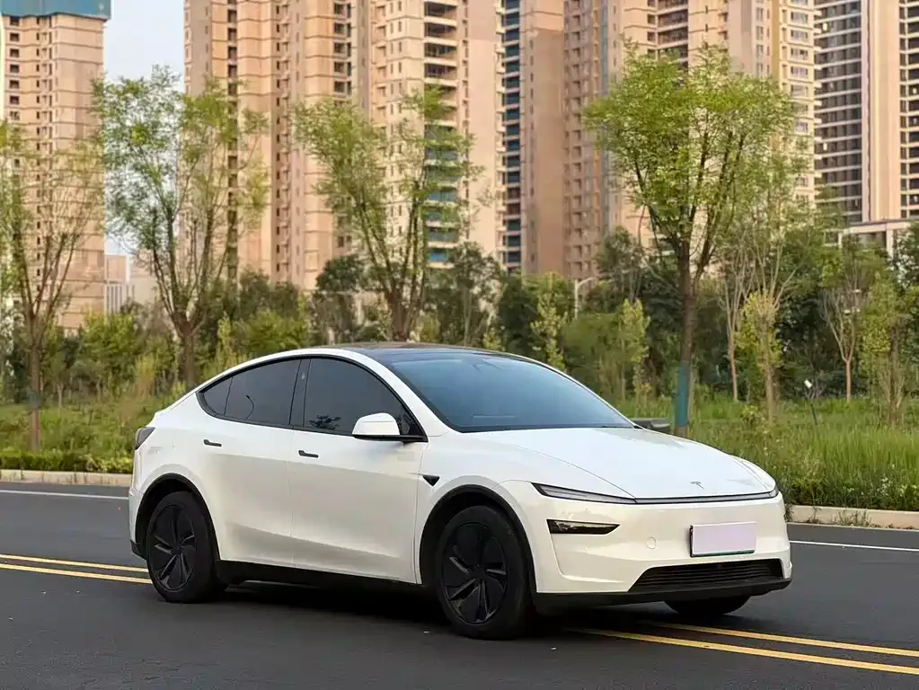 Tesla Model Y — фото 6