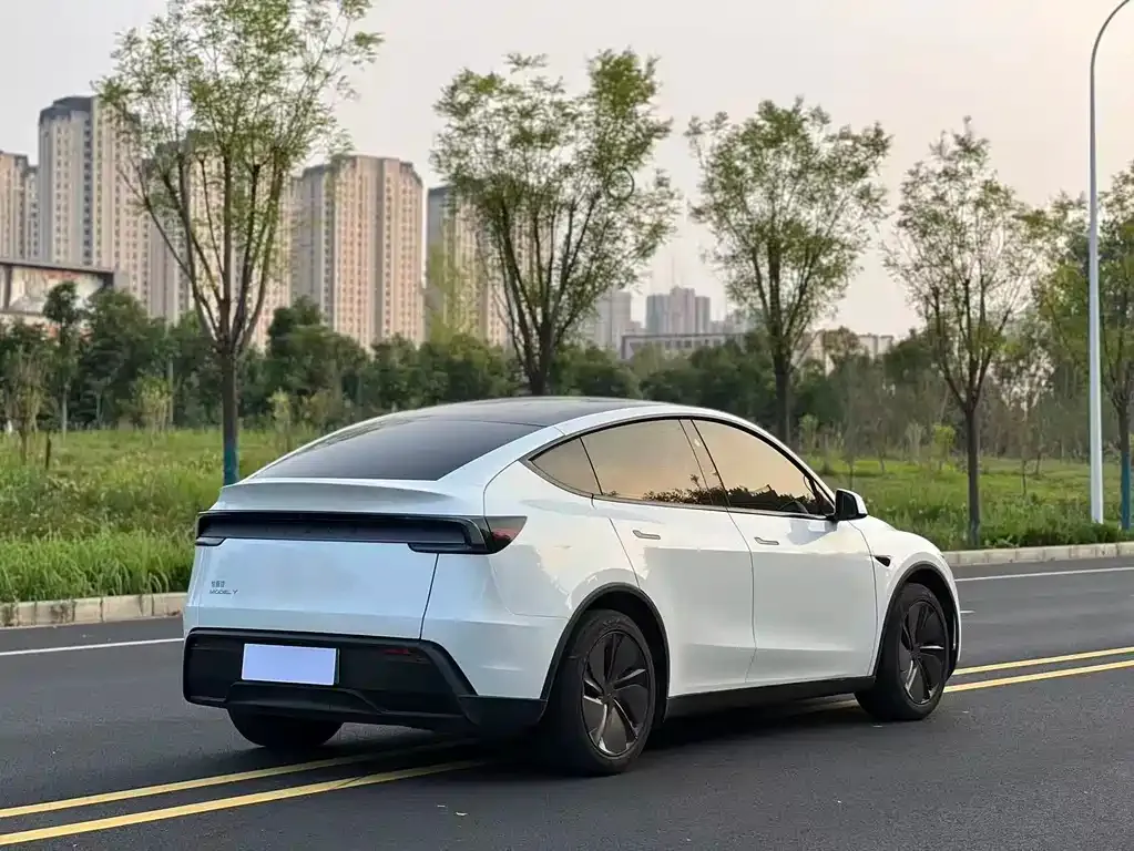 Tesla Model Y — фото 8