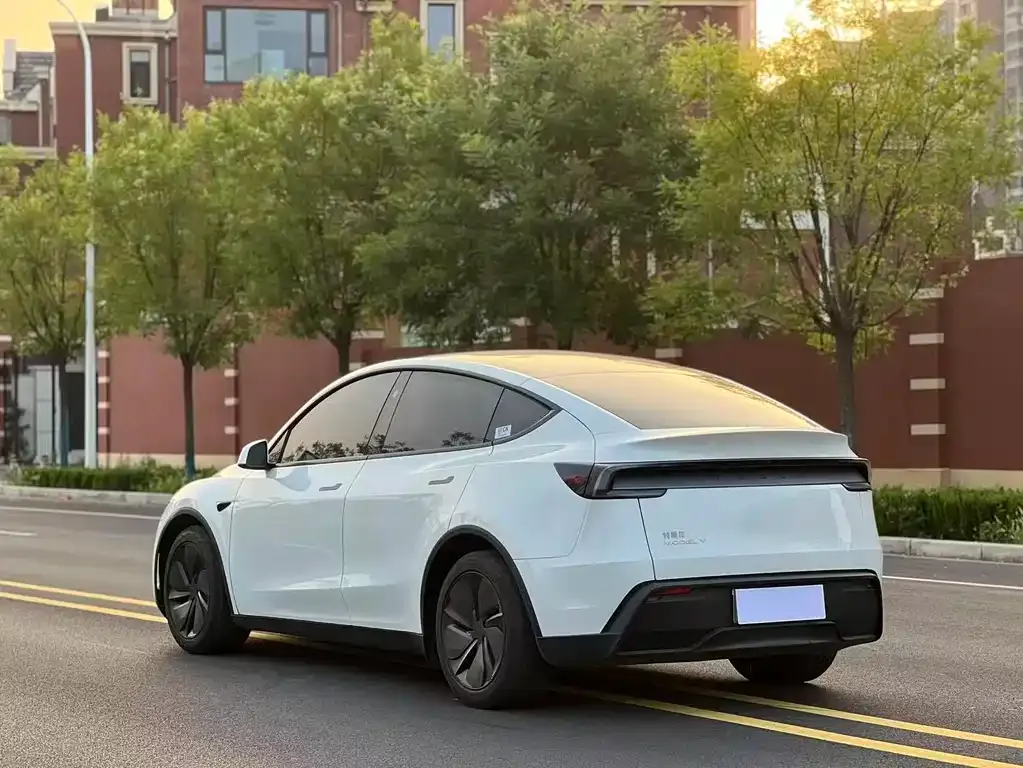 Tesla Model Y — фото 9