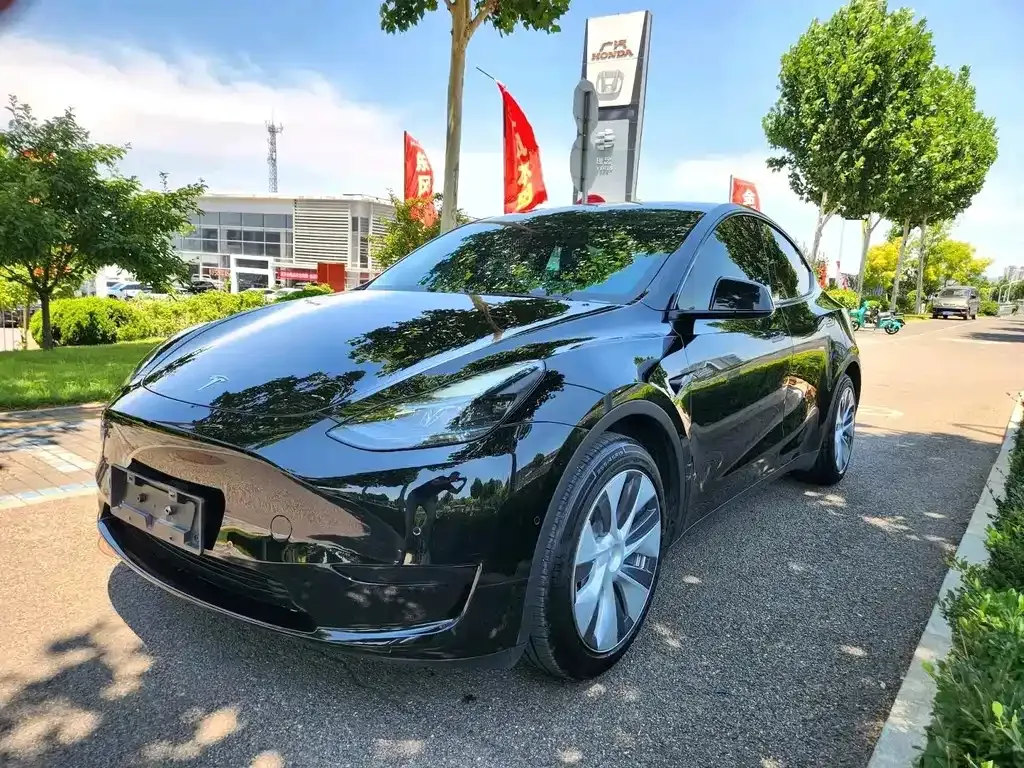 Tesla Model Y — фото 1