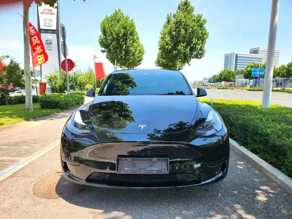 Tesla Model Y — фото 8