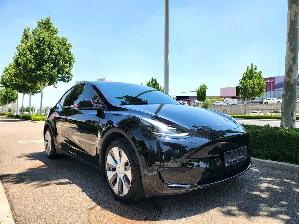 Tesla Model Y — фото 3