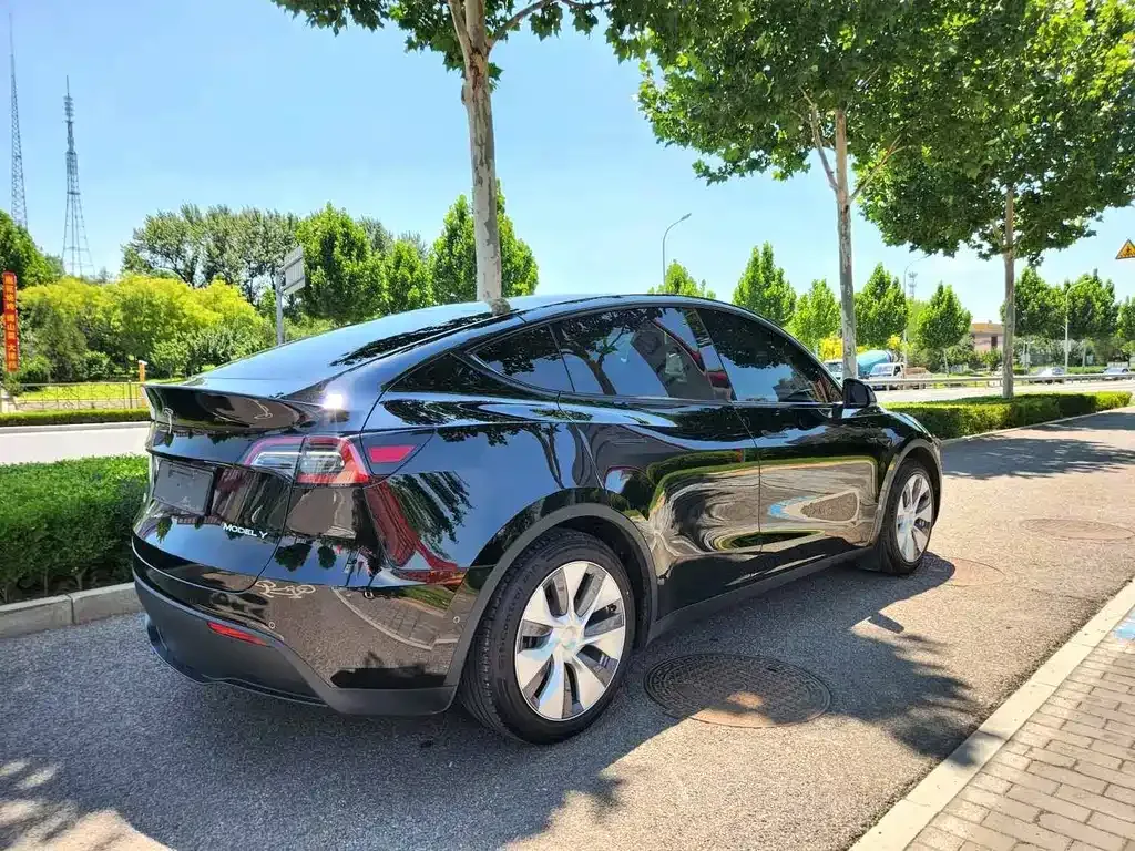 Tesla Model Y — фото 4