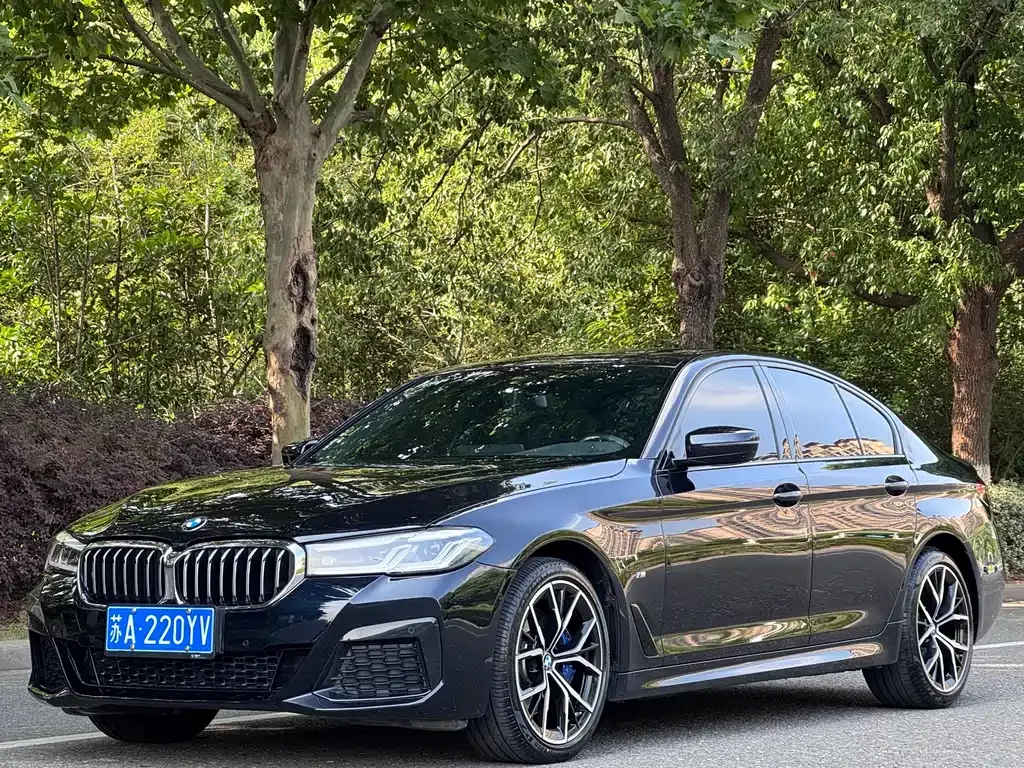 BMW 5 Series (Import) — фото 1