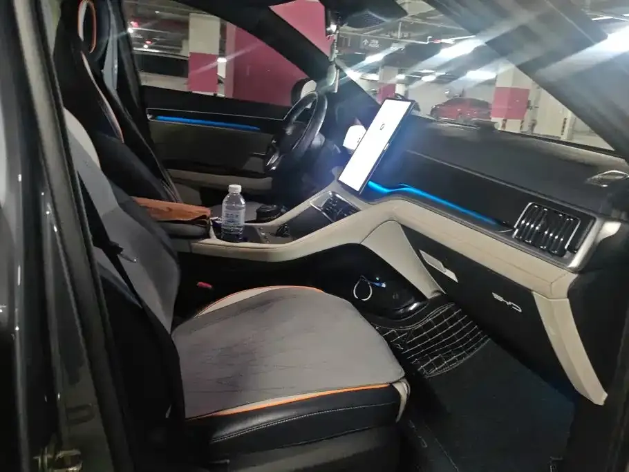 BYD PLUS New Energy — фото 10