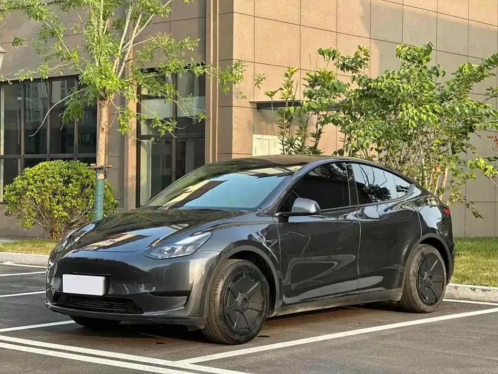 Tesla Model Y — фото 1