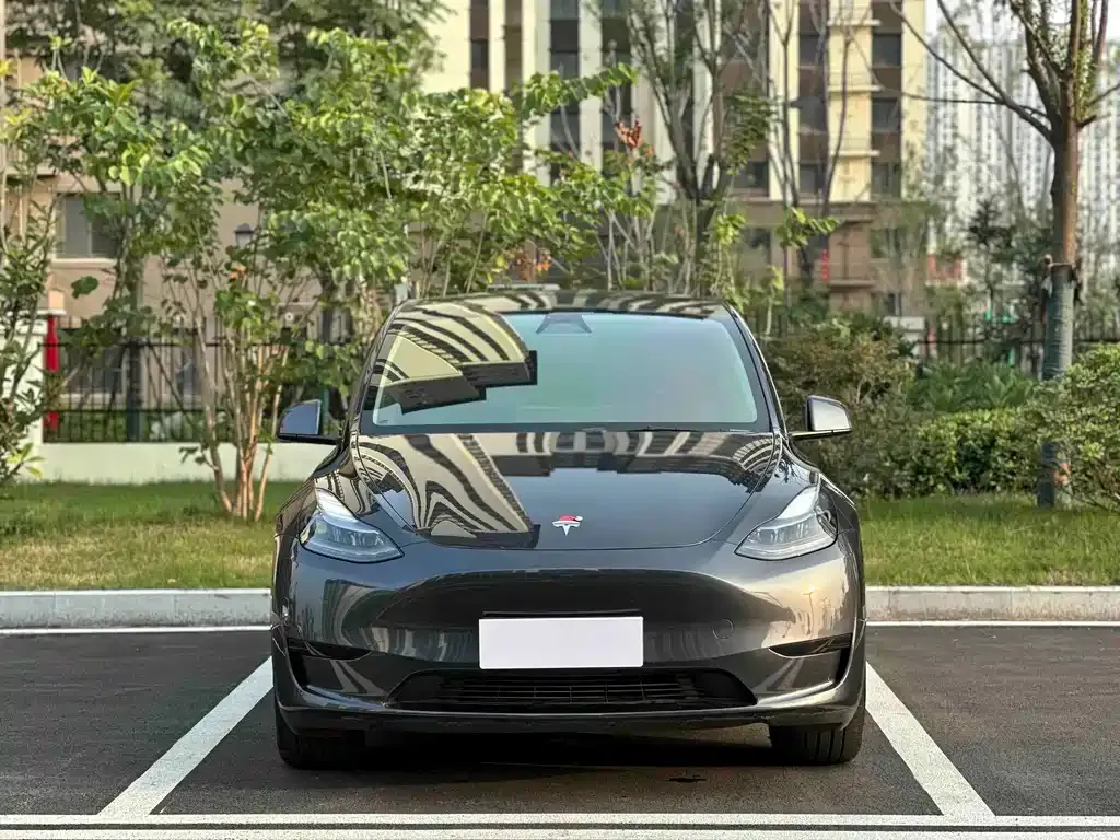 Tesla Model Y — фото 3
