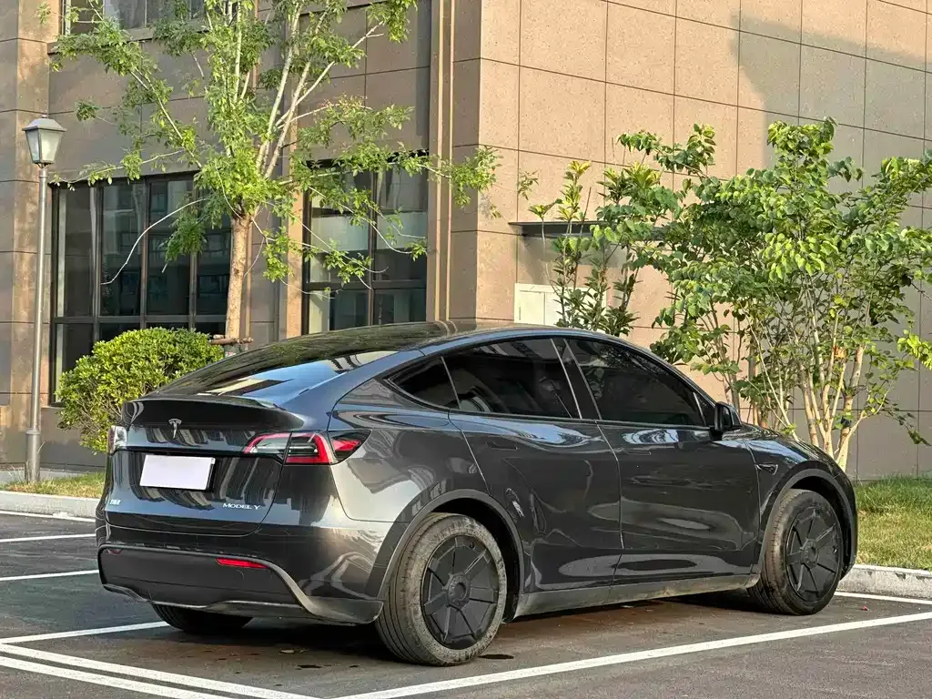 Tesla Model Y — фото 9