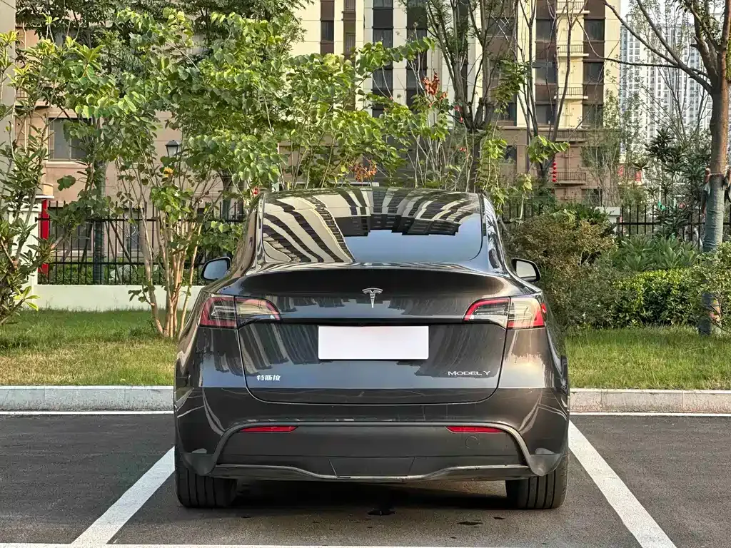 Tesla Model Y — фото 7