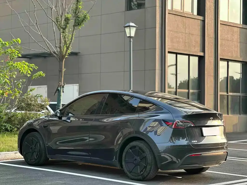 Tesla Model Y — фото 2