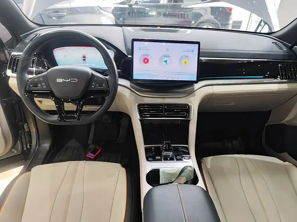 BYD PLUS New Energy — фото 10