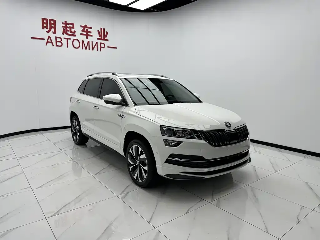 Skoda Karoq — фото 8