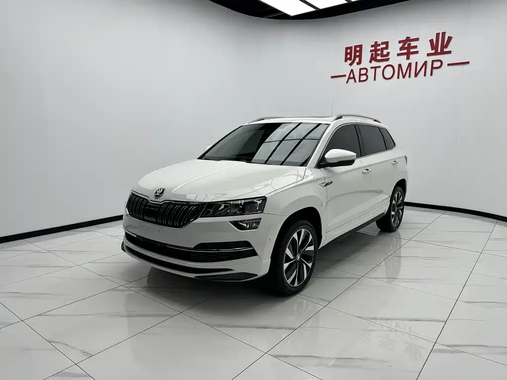 Skoda Karoq — фото 10
