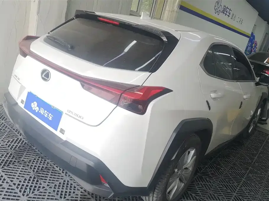 Lexus UX 2022 из CN, фото 9