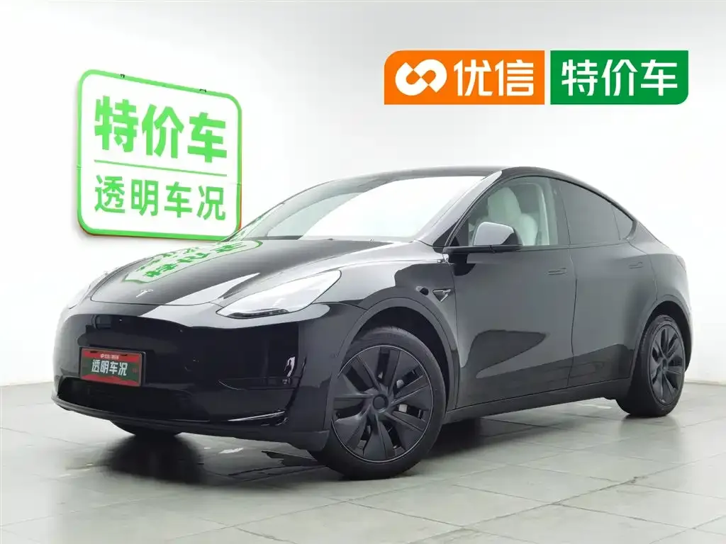 Tesla Model Y — фото 1